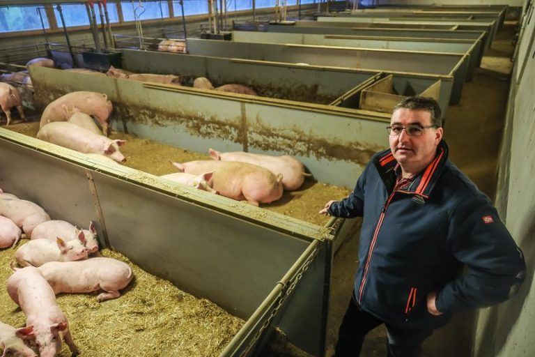 Schweinerei in Tierfabrik? Jürgen Hagspiel setzt auf Unschuldsvermutung