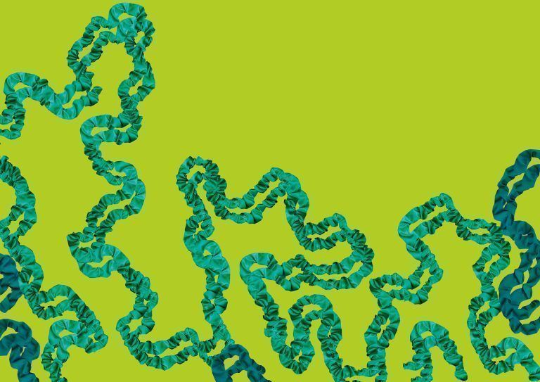 Eva Kees_Souvenir_Maria_Foto Eva Kees.jpg