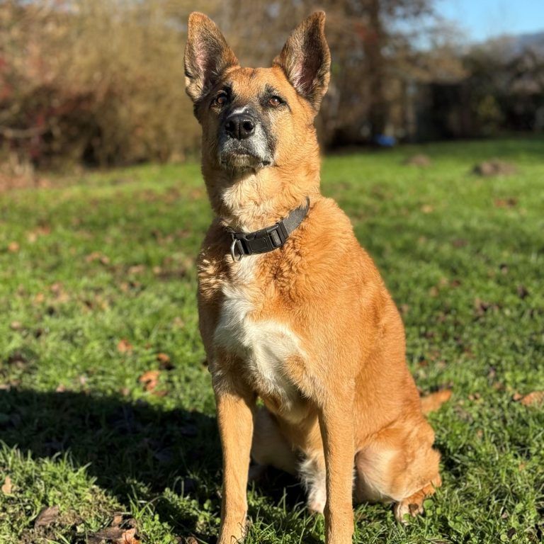 Bengy liebt alles und jeden