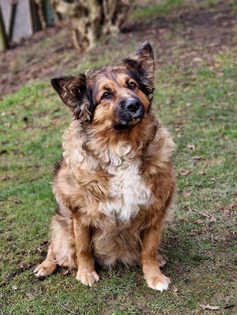 Bengy liebt alles und jeden