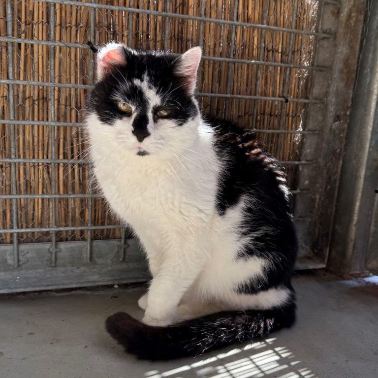 Bengy liebt alles und jeden