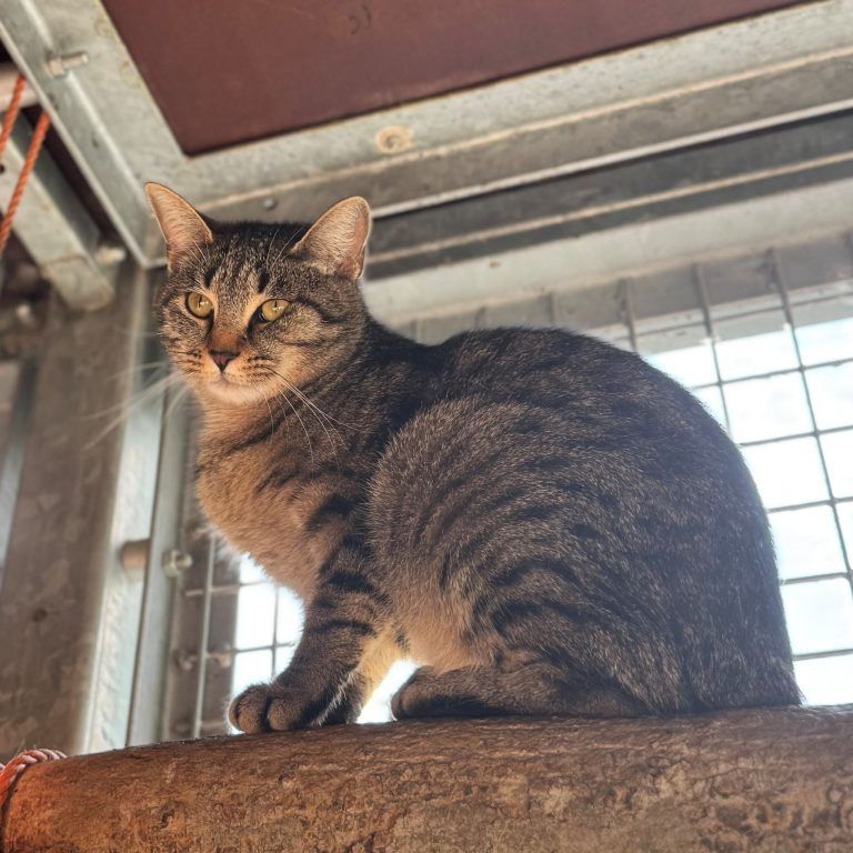 Rocky hat ein großes, warmes Herz