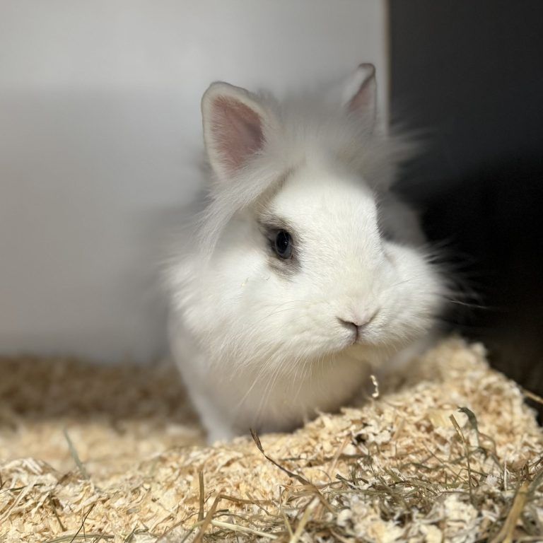 Rocky hat ein großes, warmes Herz