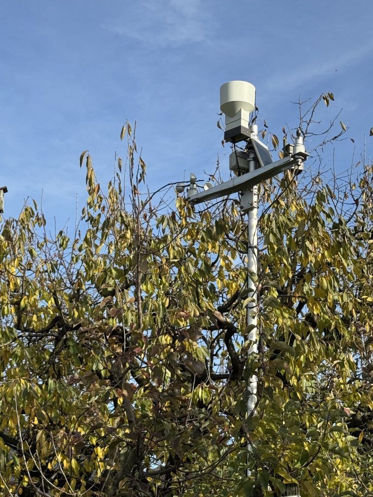 "Schlaflose Nächte gehören im Frühling zum Alltag" – Obstbauer Simon Matt aus Schlins baut über zehn Apfelsorten an