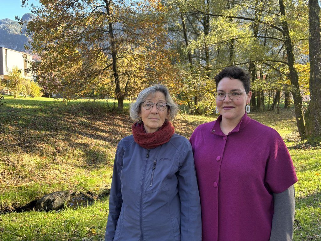 Grundstück ohne Zufahrt wird zum Streitobjekt in Hohenems