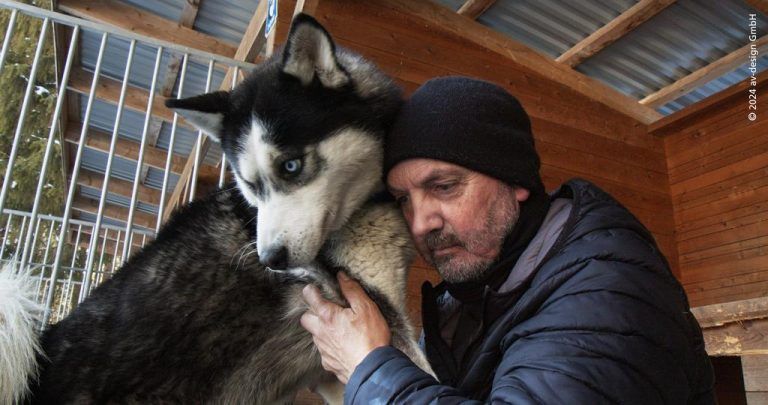 Husky Toni kehrt zurück