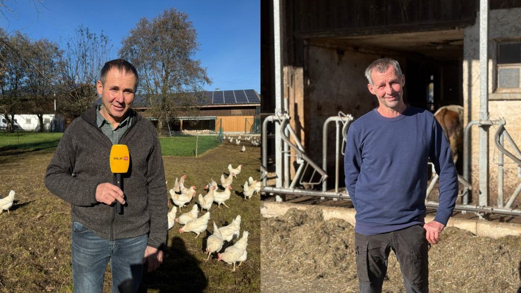 &#8220;Wir hoffen, dass kein Zugvogel bei uns landet&#8221; – Vogelgrippe versetzt Vorarlbergs Geflügelbauern in Alarmbereitschaft