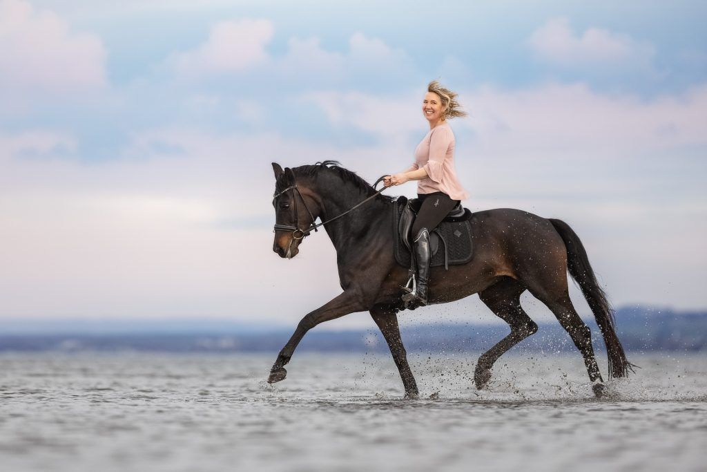 Herzschlag im Takt der Hufe