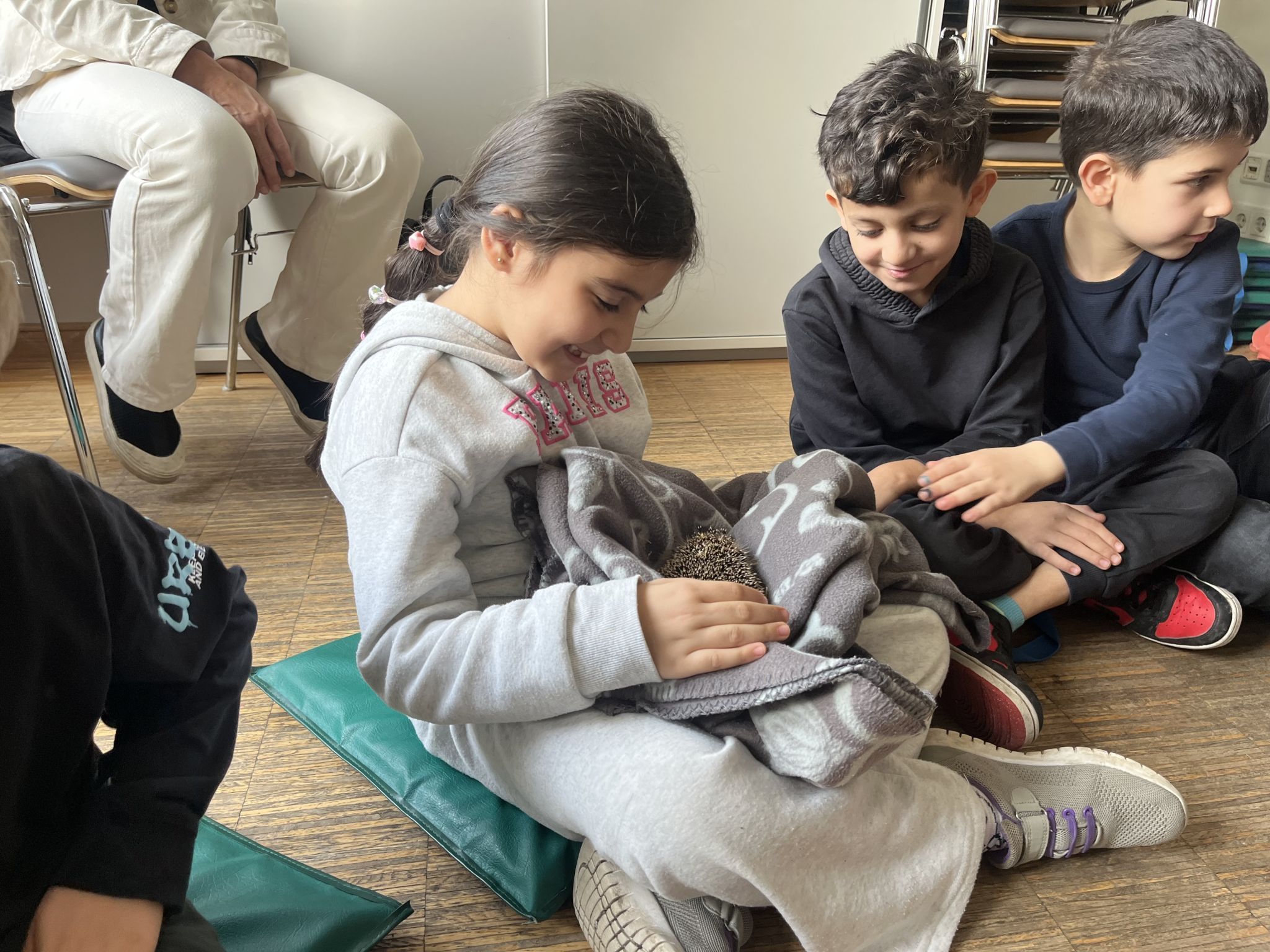 Alle wollten einmal einen Igel halten.