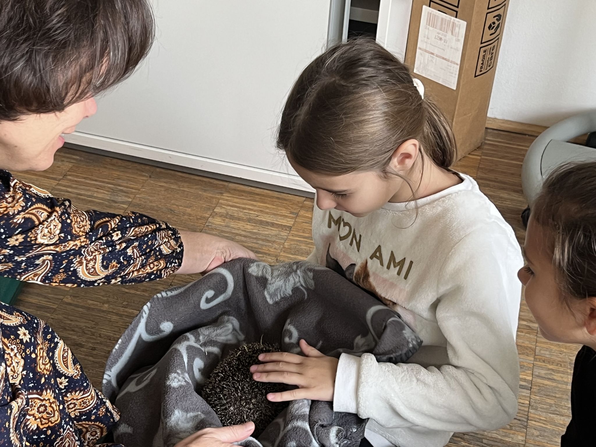 Vorsichtig näherten sich die Kinder dem süßen Igelbaby an.