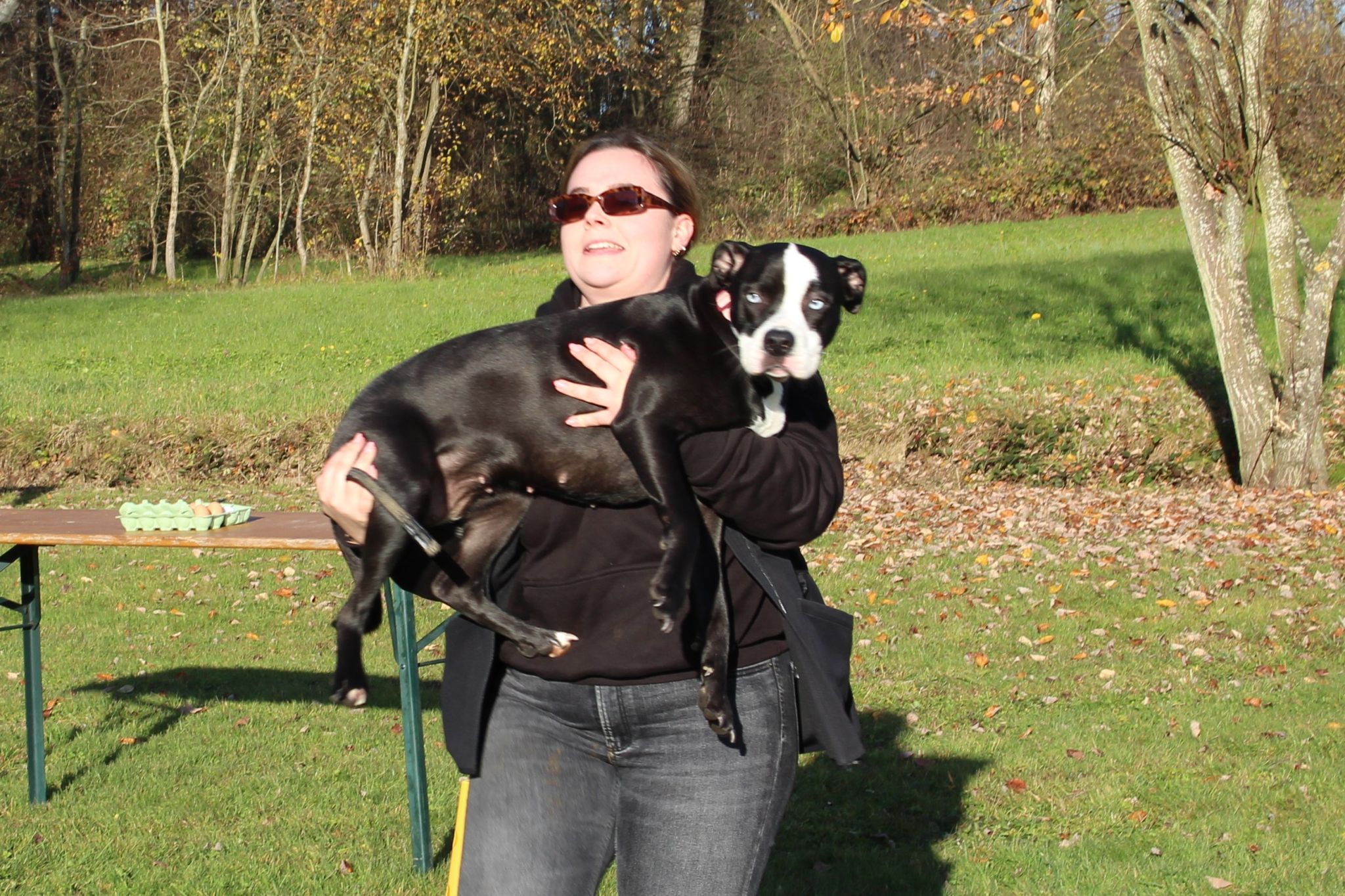 Mancher Hund musste auch getragen werden