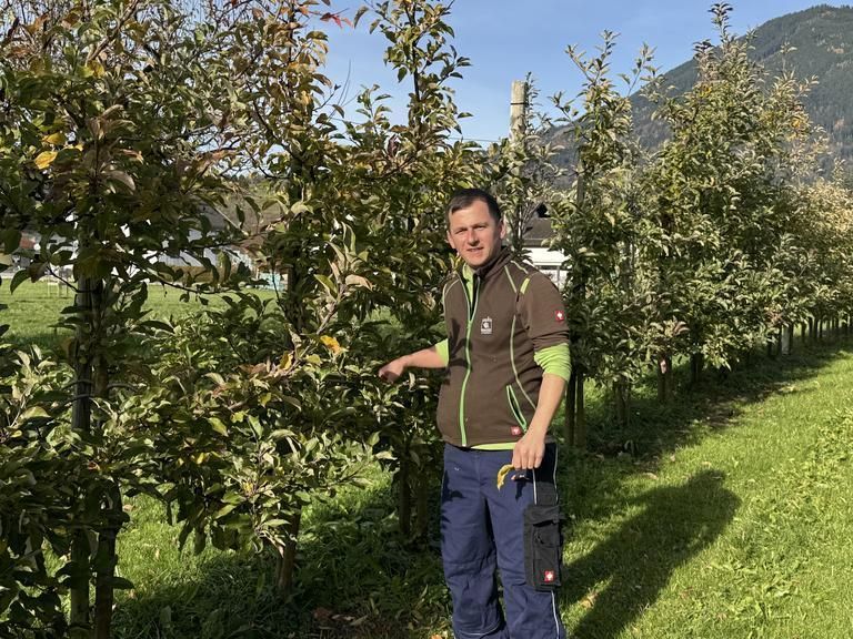 "Schlaflose Nächte gehören im Frühling zum Alltag" – Obstbauer Simon Matt aus Schlins baut über zehn Apfelsorten an