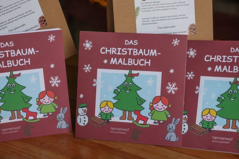"So lange dauert es, bis aus einem Setzling ein Christbaum wird" – Kinder auf Entdeckungstour