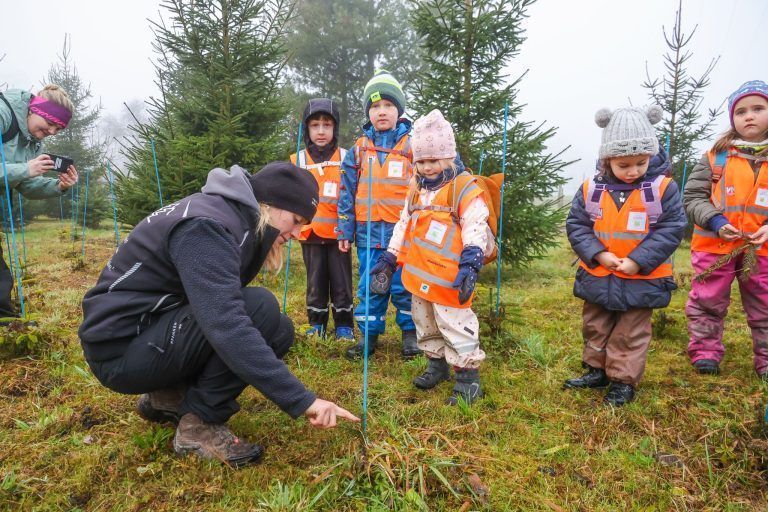 "So lange dauert es, bis aus einem Setzling ein Christbaum wird" – Kinder auf Entdeckungstour