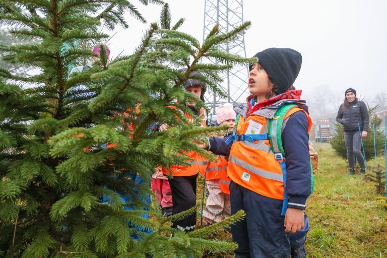 "So lange dauert es, bis aus einem Setzling ein Christbaum wird" – Kinder auf Entdeckungstour