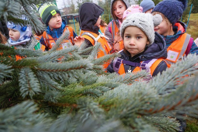 "So lange dauert es, bis aus einem Setzling ein Christbaum wird" – Kinder auf Entdeckungstour