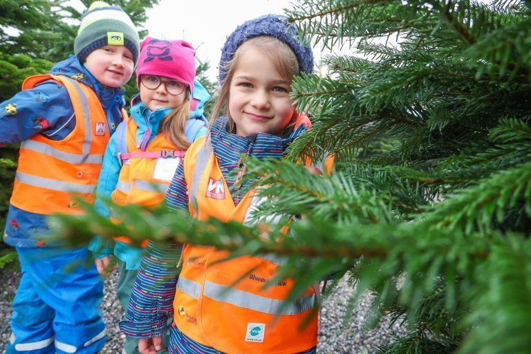 "So lange dauert es, bis aus einem Setzling ein Christbaum wird" – Kinder auf Entdeckungstour