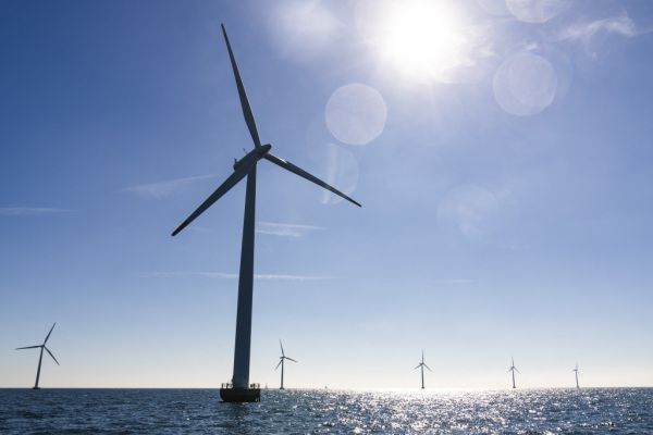 Washington stoppt große Windkraft-Projekte