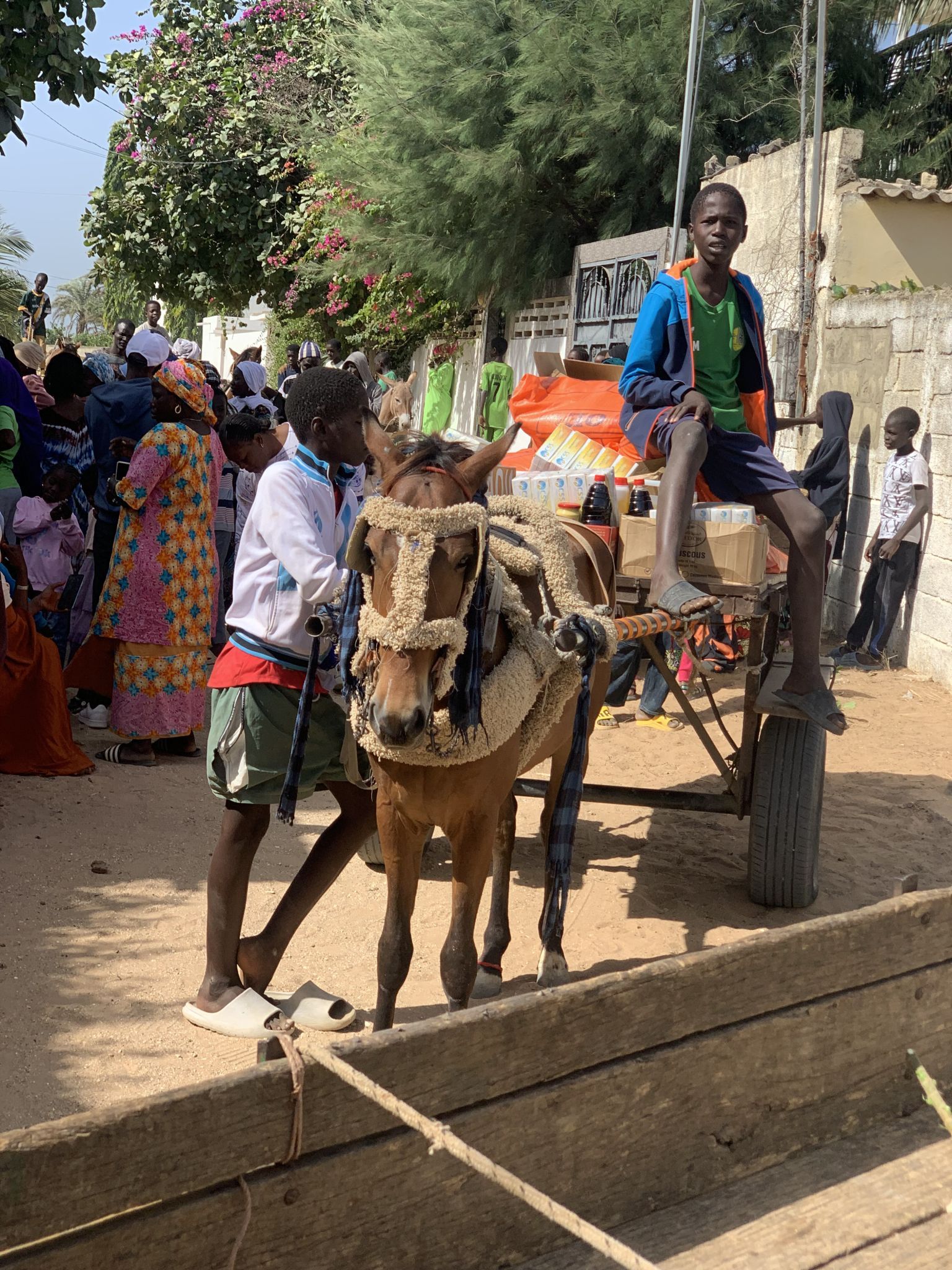 Ein Eselskarren transportierte die großen Pakete.