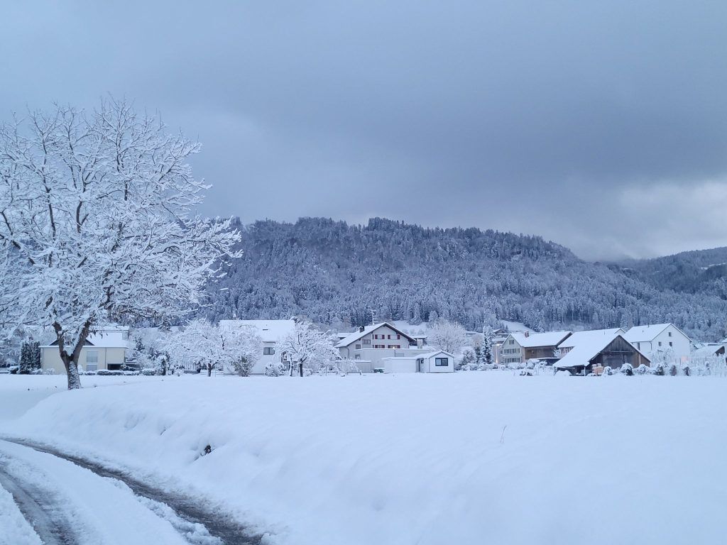 So steht es um die Zukunft des Skifahrens in Vorarlberg