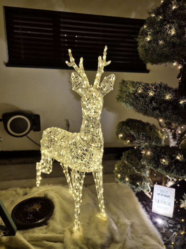 20251113_231348 - Stefan Günzl.jpg