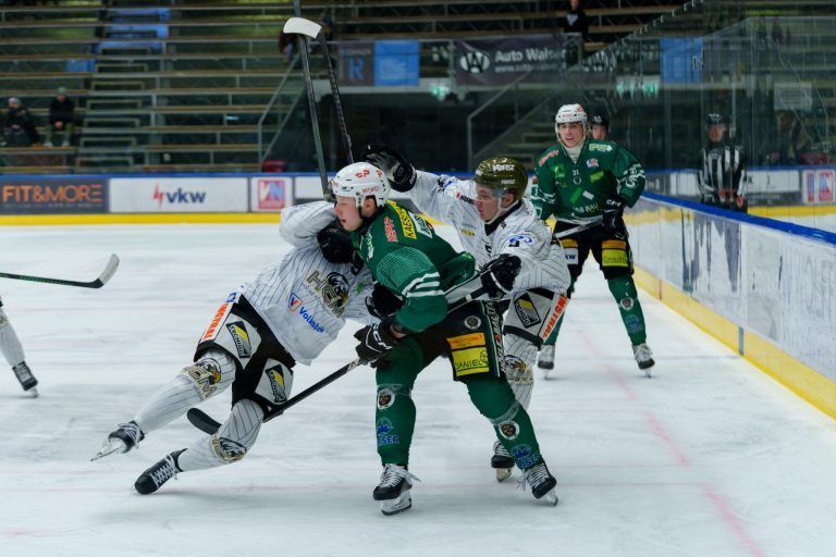 Wälder sind wieder in der Spur