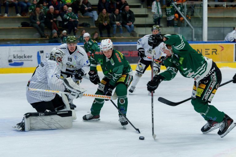 Wälder sind wieder in der Spur