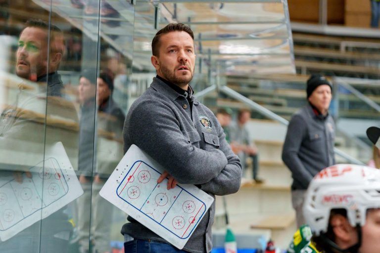 Wälder sind wieder in der Spur