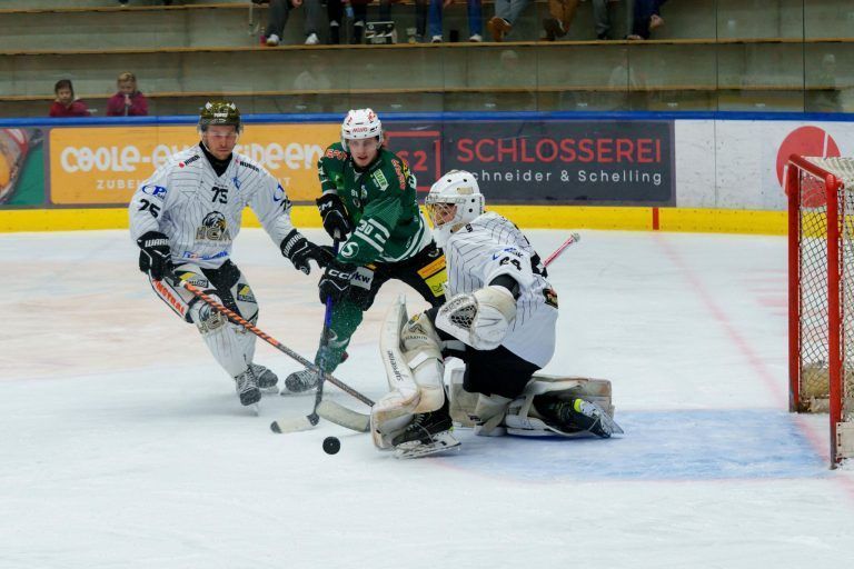Wälder sind wieder in der Spur