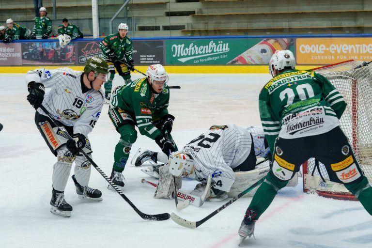 Wälder sind wieder in der Spur