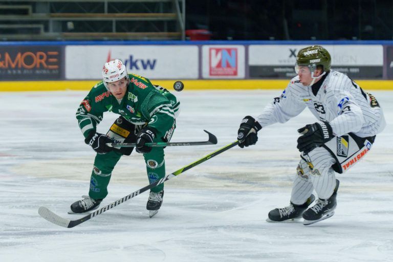 Wälder sind wieder in der Spur