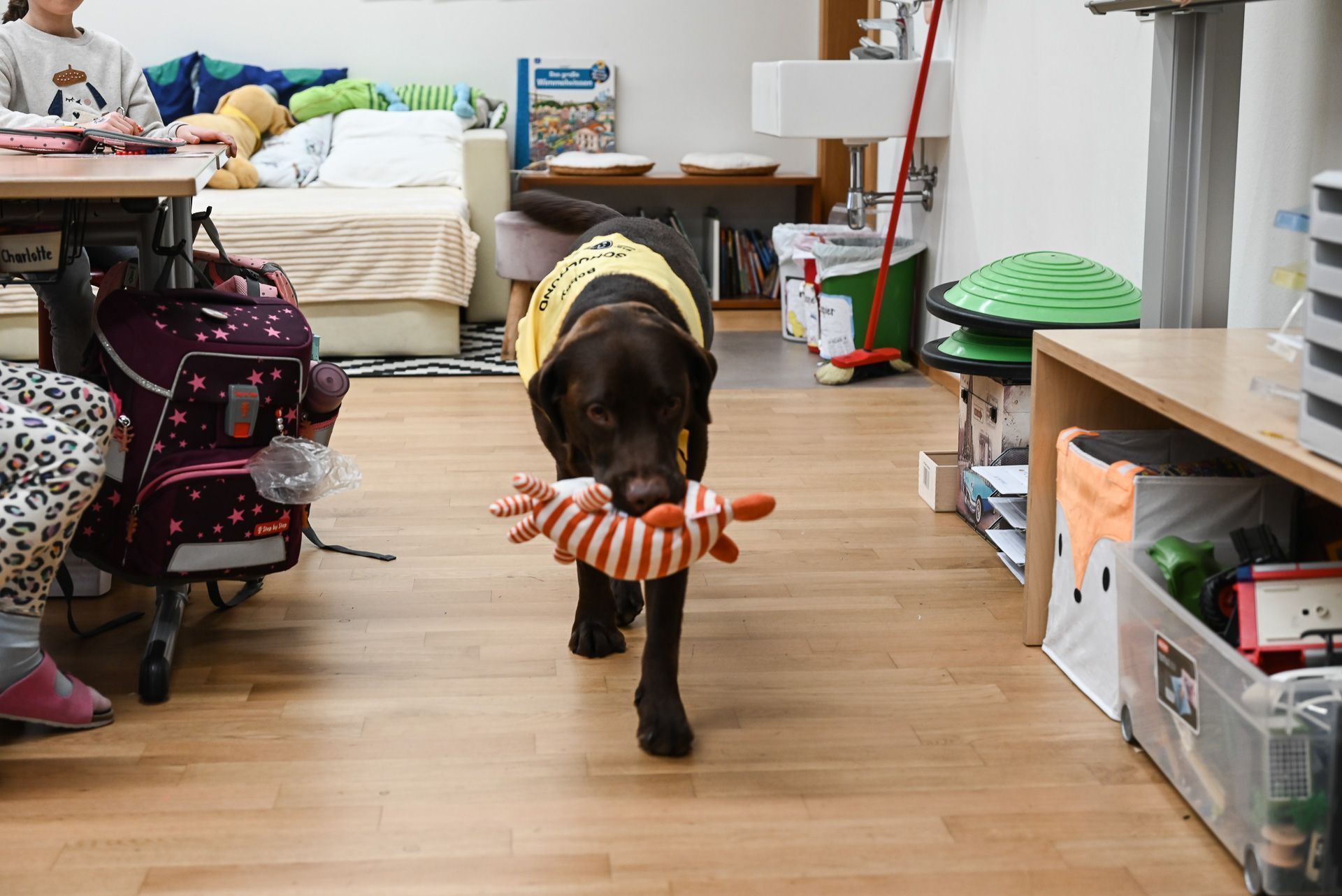 Schulhund Bobby hat den Kindern Aufgaben mitgebracht. Diese sind im Stofftier versteckt.