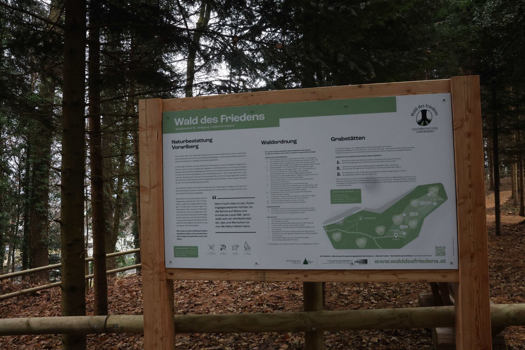 Projektbeschreigung mit einem Stückchen Wald.