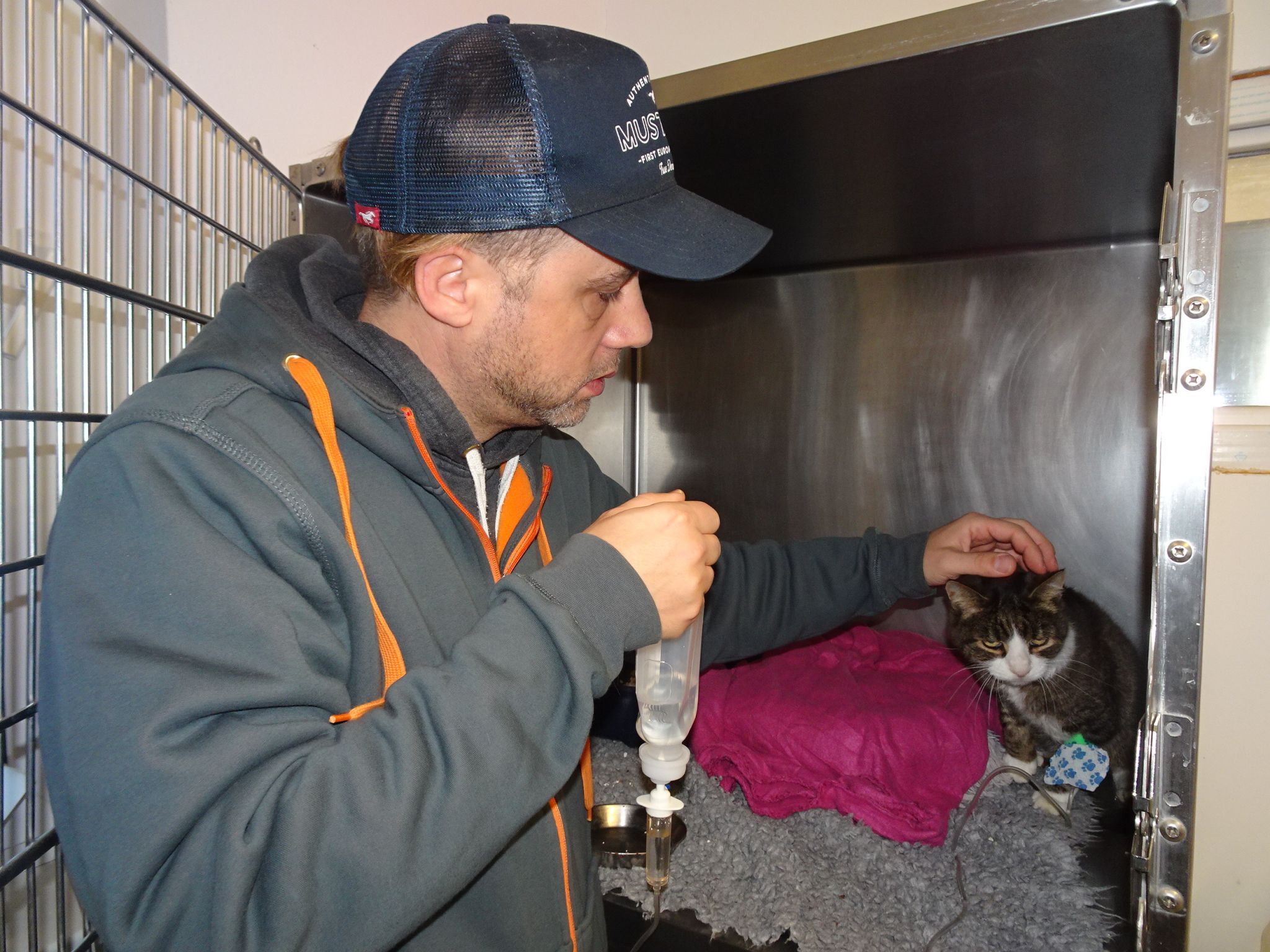 Immer wieder werden verletzte oder schwer erkrankte Tiere eingeliefert, die intensive - und oft auch kostspielige - Betreuung benötigen. 