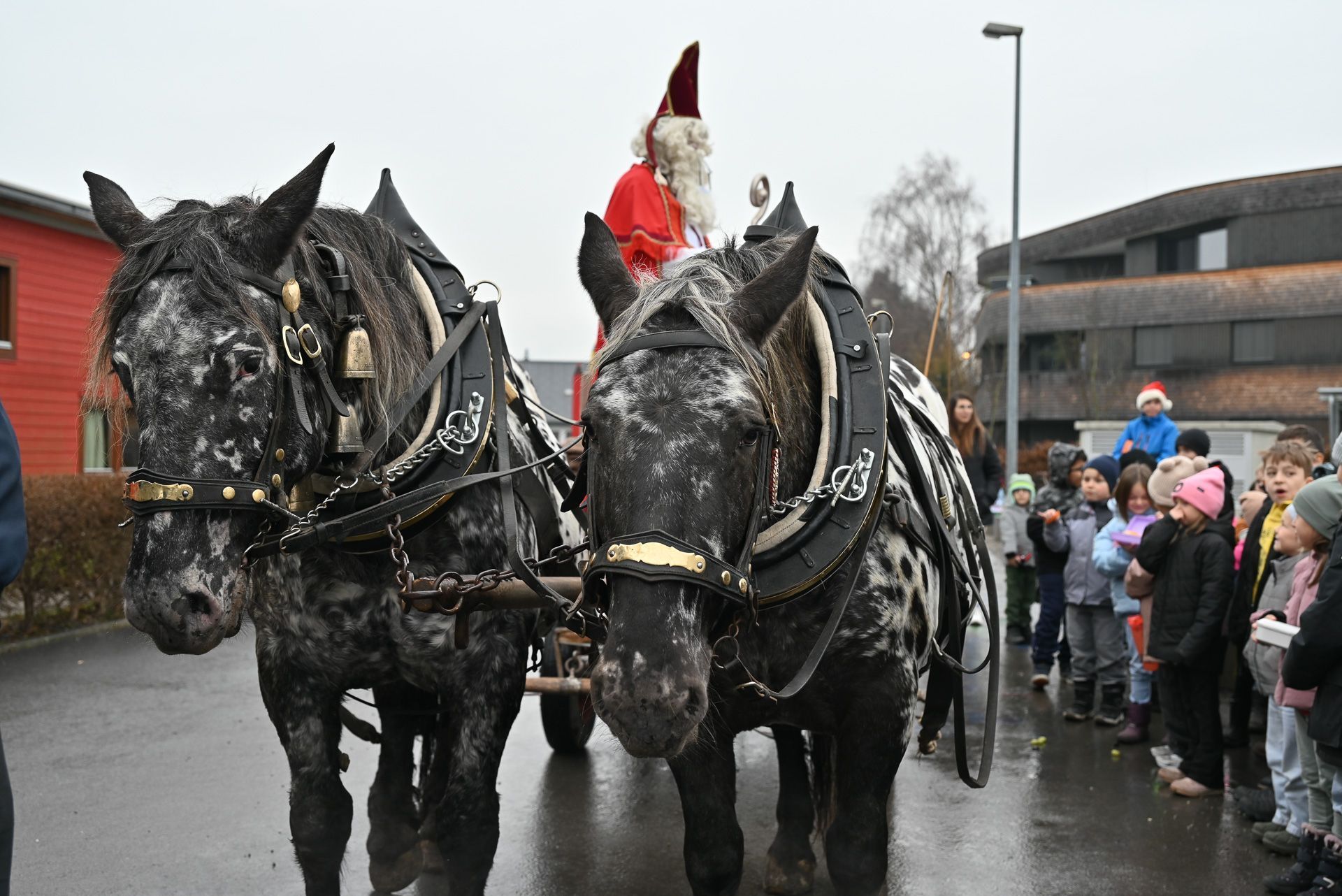 Geduldig warteten die beiden Pferde.