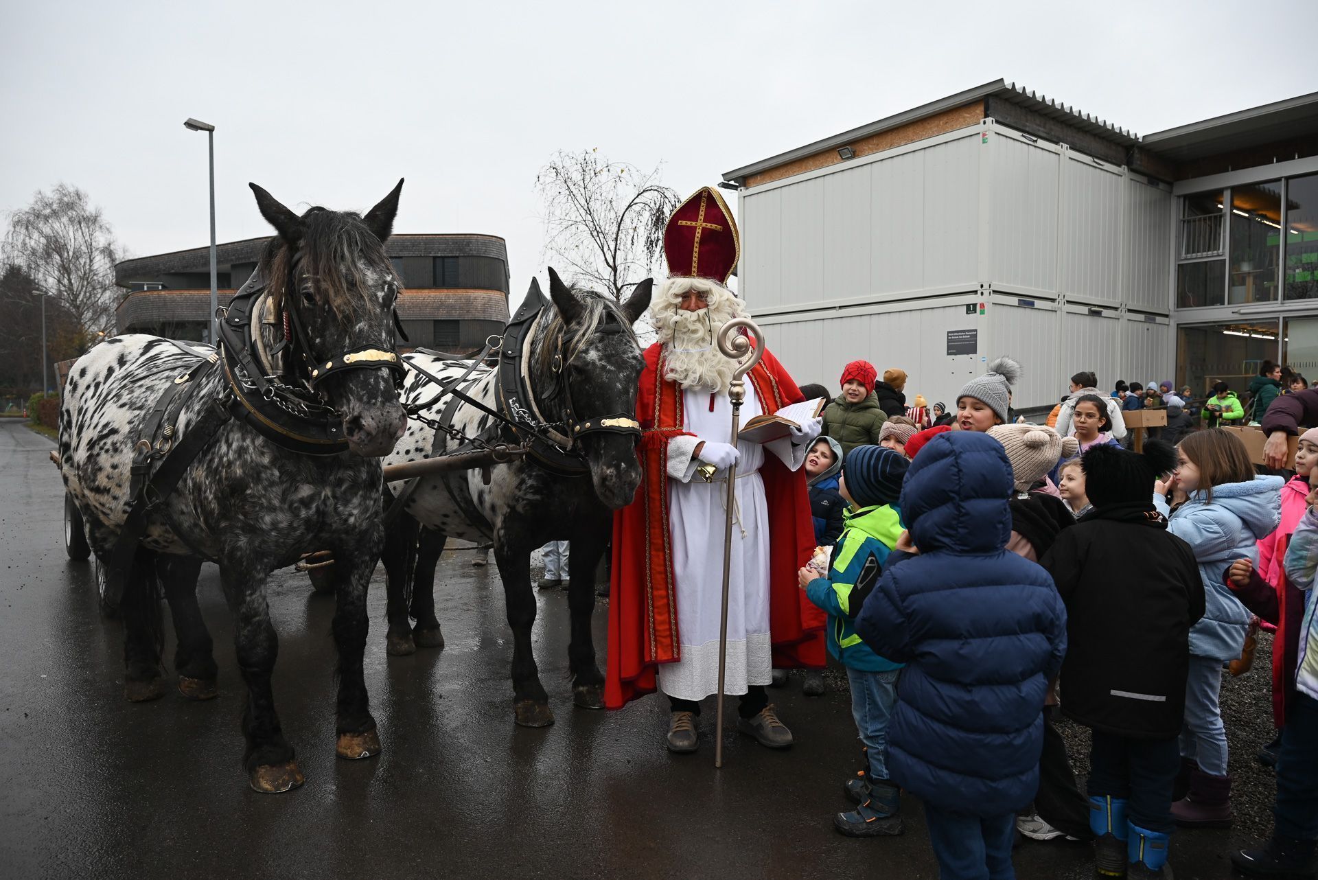 Per Pferdekutsche fuhr der Nikolaus zur Volksschule Rotkreuz.