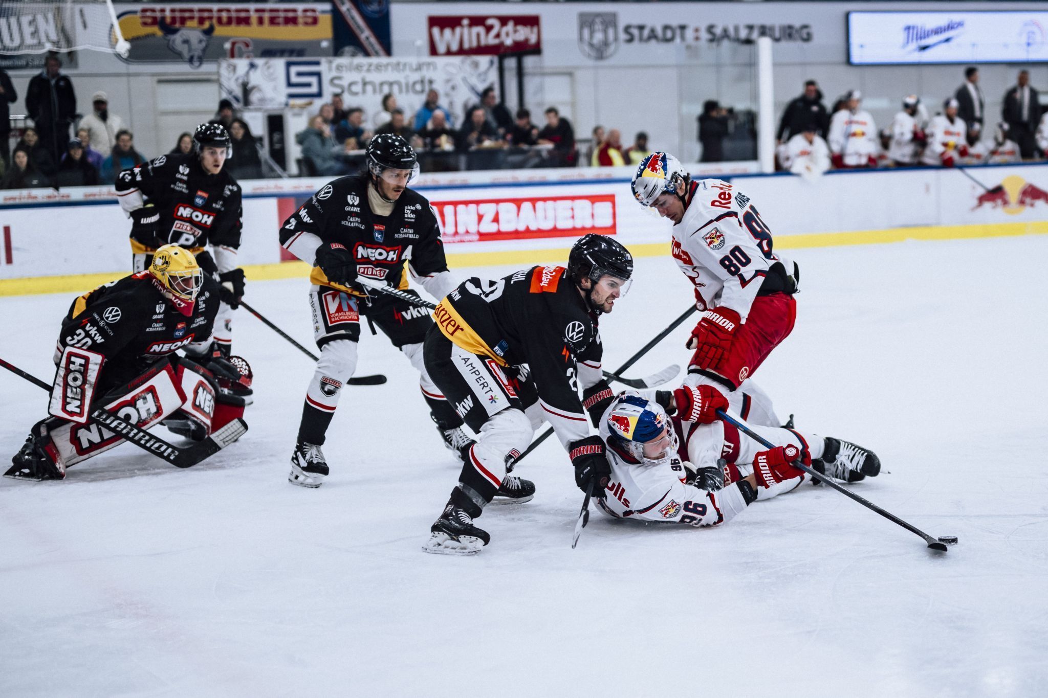 Um gegen Salzburg zu bestehen, müssen die Pioneers wohl über sich hinauswachsen. EC Red Bull Salzburg/Andreas Schaad