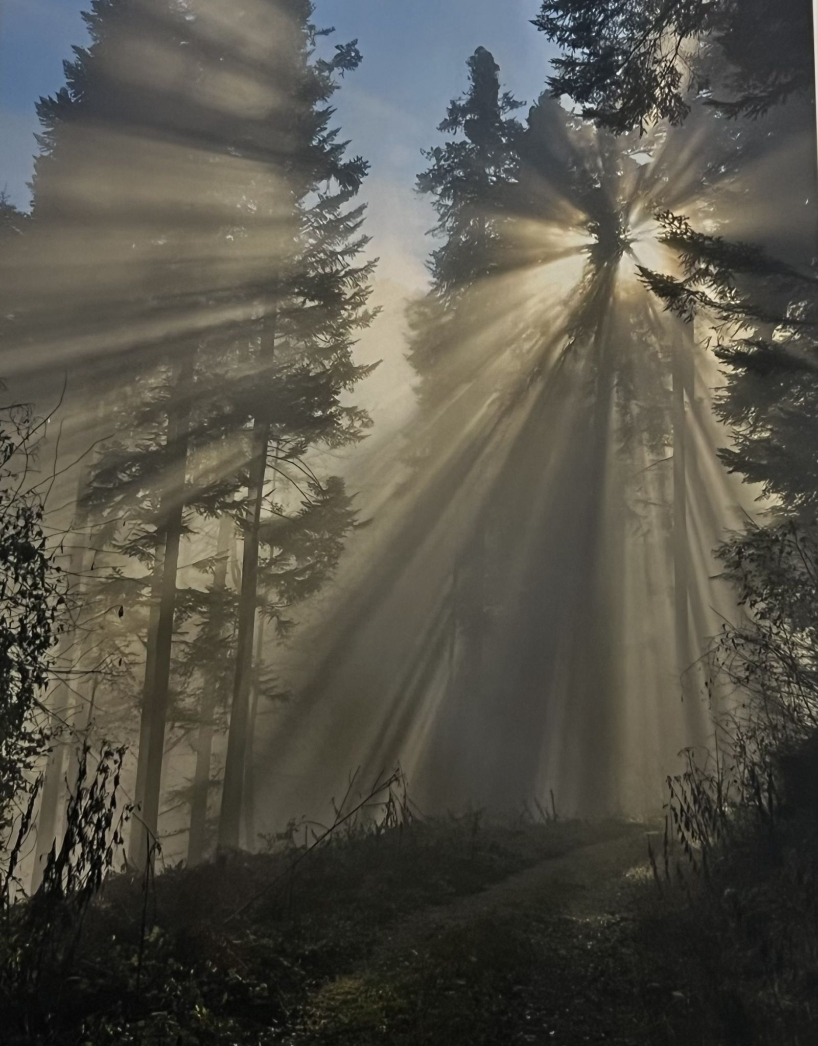 Viele der Bilder entstehen zufällig und spontan.