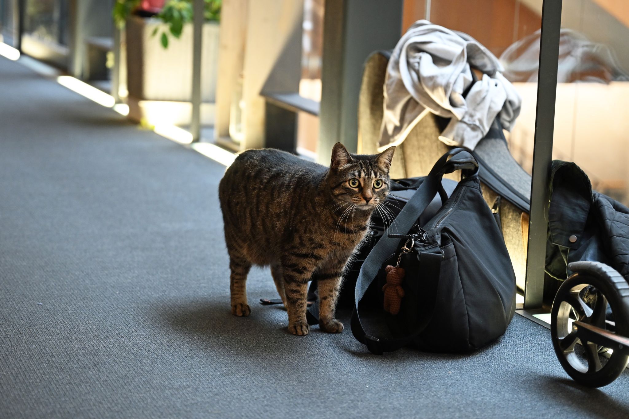 Auch die Stationskatze schaute einen Sprung vorbei.
