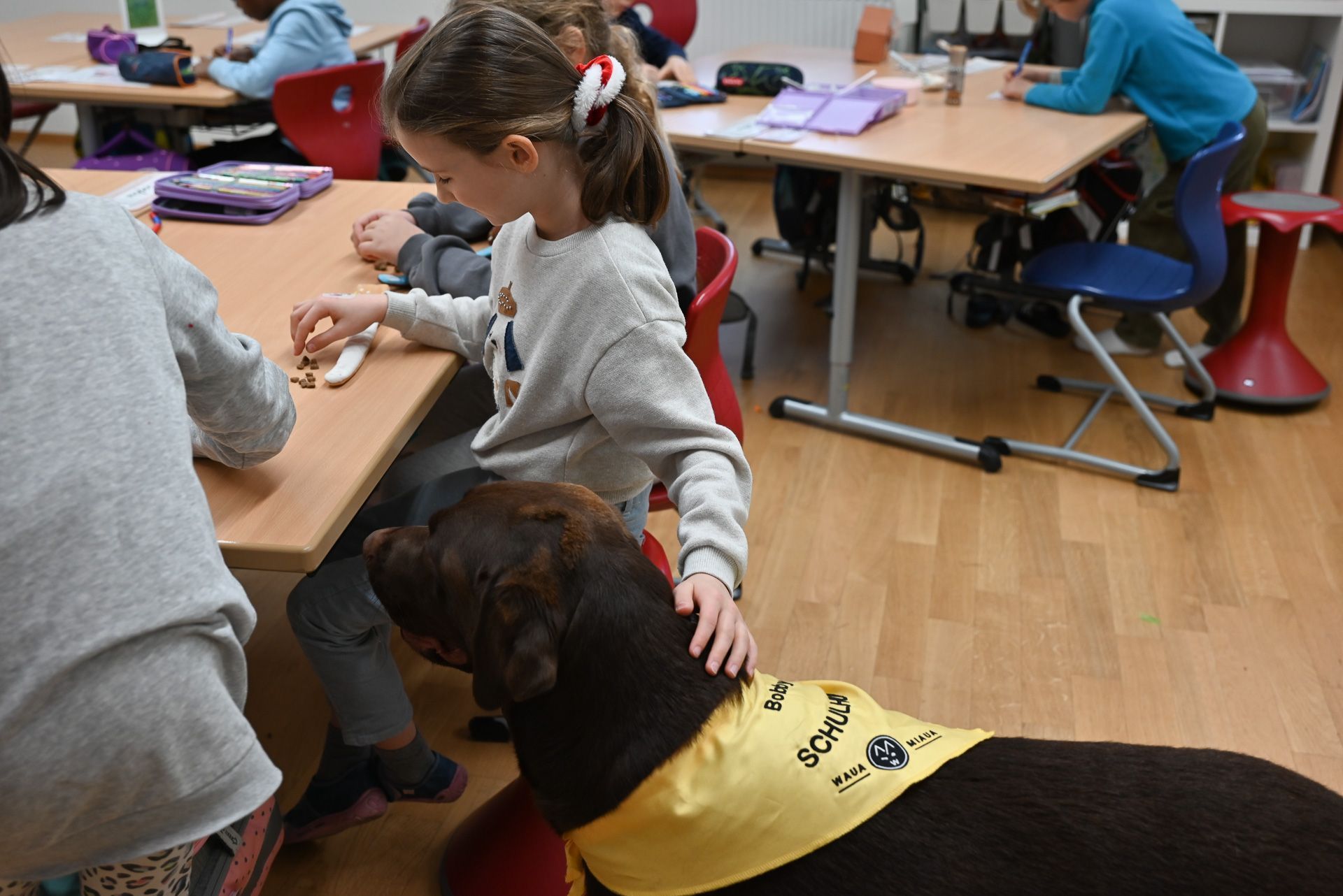 Bobby geht unauffällig zwischen den Schulbänken hindurch.