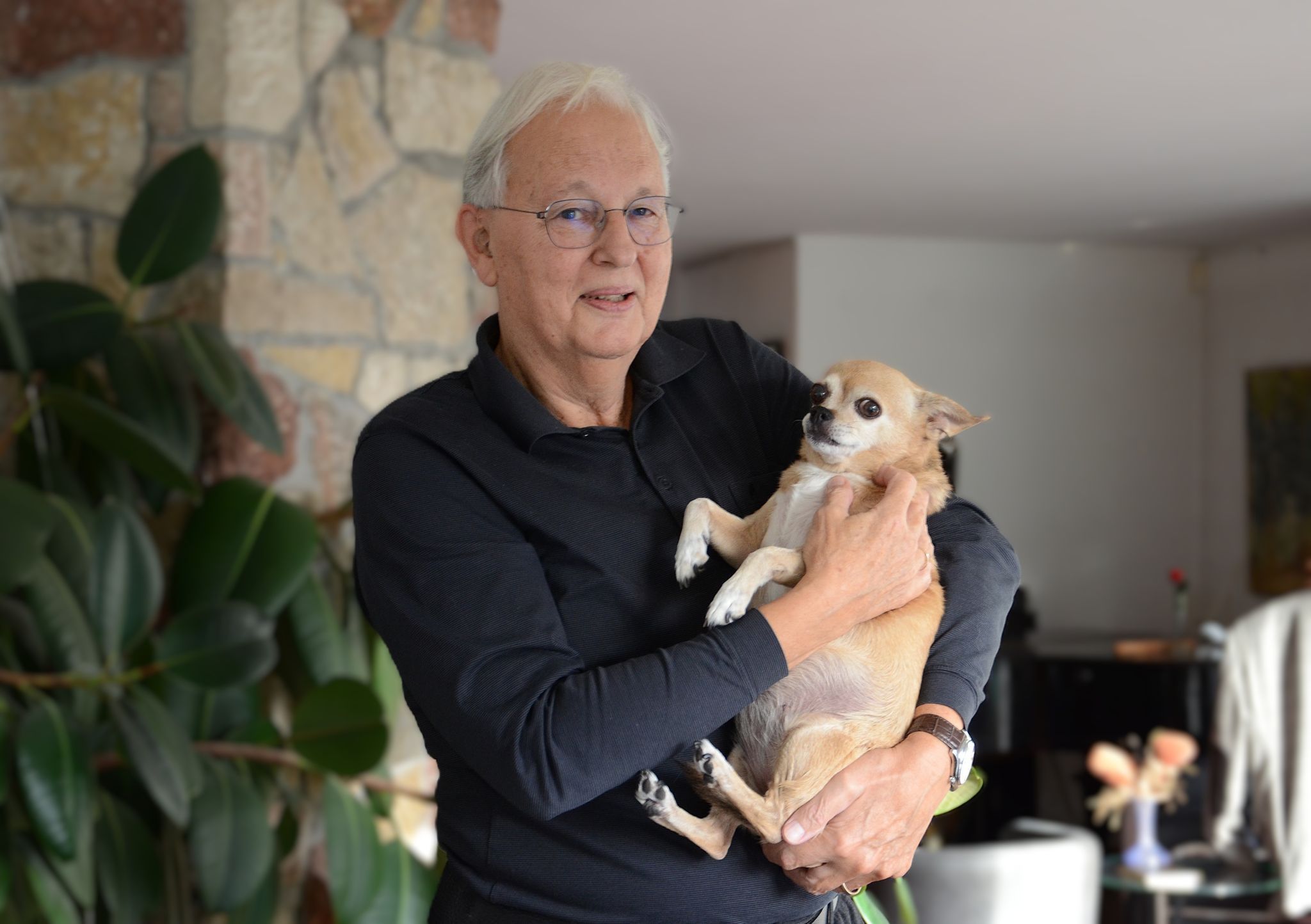 Auf Wolfgangs Arm ist Lilly ganz ruhig. Kommen Gäste, mutiert sie mit Hochfrequenzgebell zur Alarmanlage. Typisch Chihuahua. HRJ