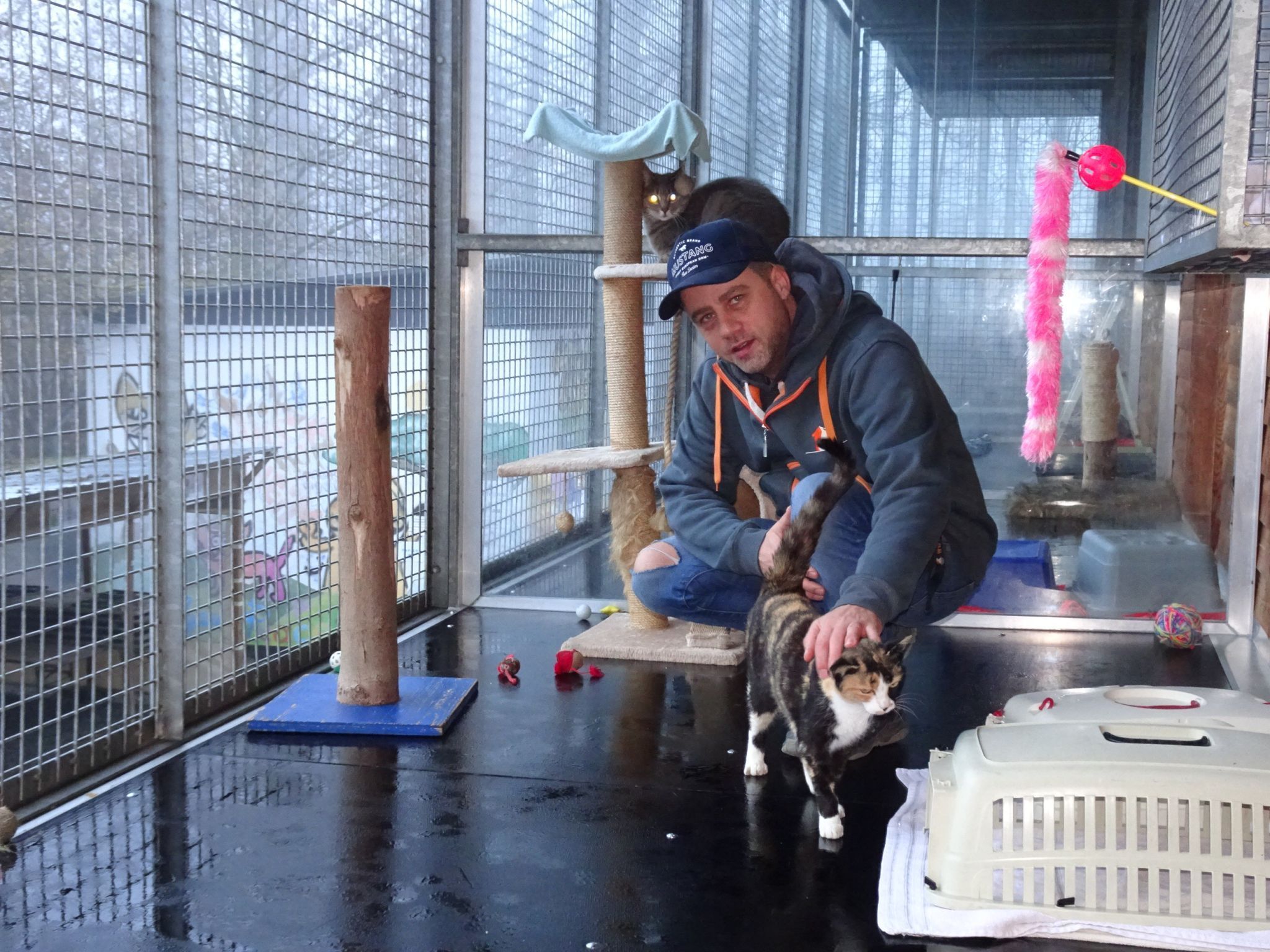 Besonders dringlich war zuletzt die Sanierung der Katzenbalkone, die ein großes Loch ins Budget rissen. 