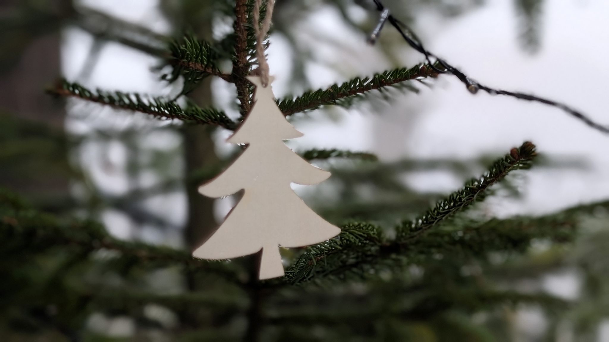 Am Schluss schreiben die Kinder die Zahl ihrer gelesenen Seiten auf kleine Holztannenbäume.