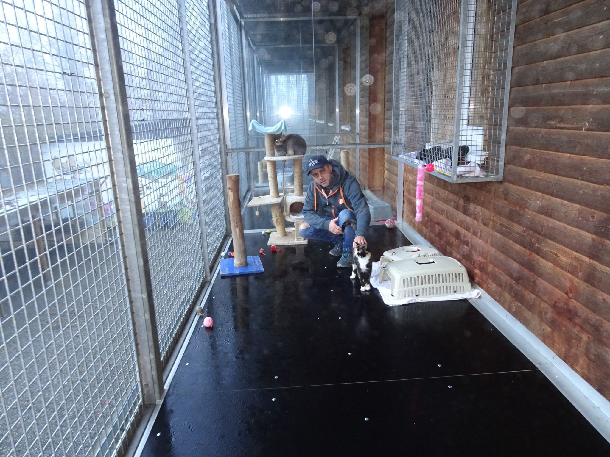 Die Katzenbalkone wurden erneuert und sind nun wieder sicher für Mensch und Tier. 