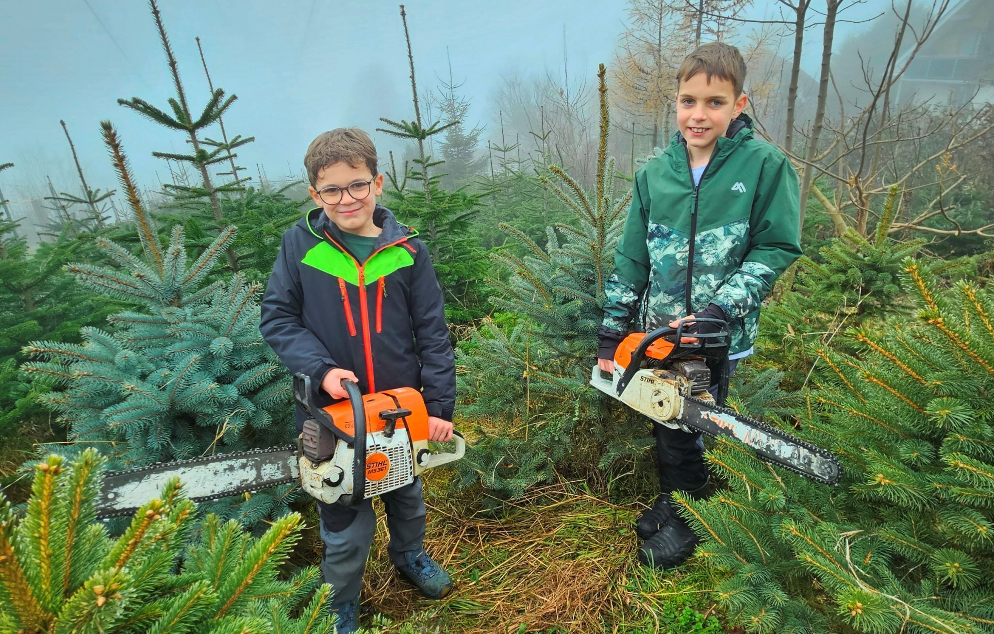 Auch Emil und Lorenz helfen bei der Christbaumernte im „Christbaumparadies Zussner“ bereits fleißig mit.