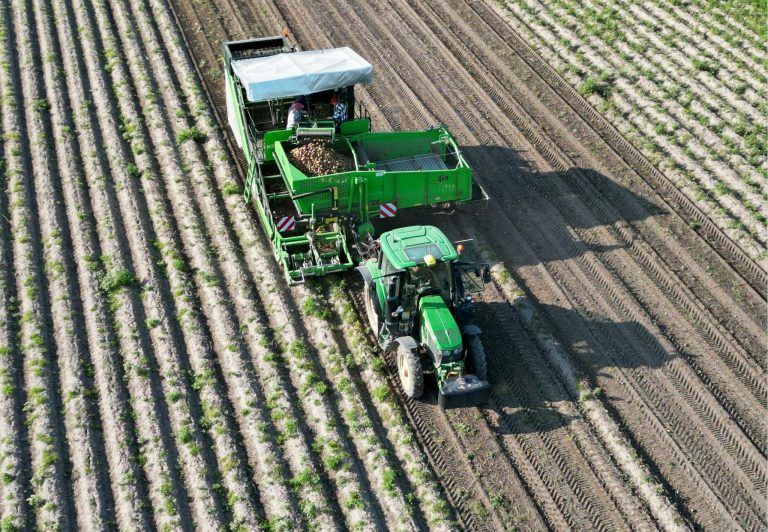 Expertin über Lebensmittel-Kennzeichnung der modernen Gentechnik: "Aus wissenschaftlicher Sicht macht sie keinen Sinn"