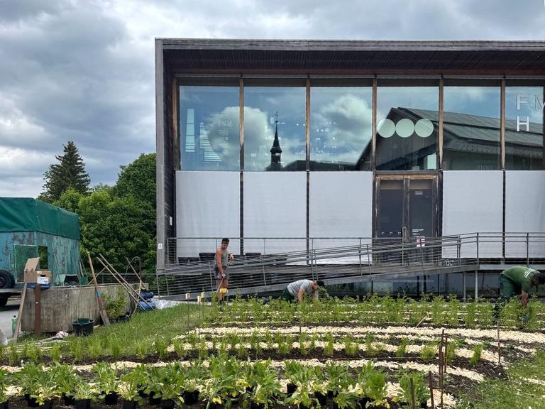 Über Gerechtigkeit, Demokratie und Geschlecht