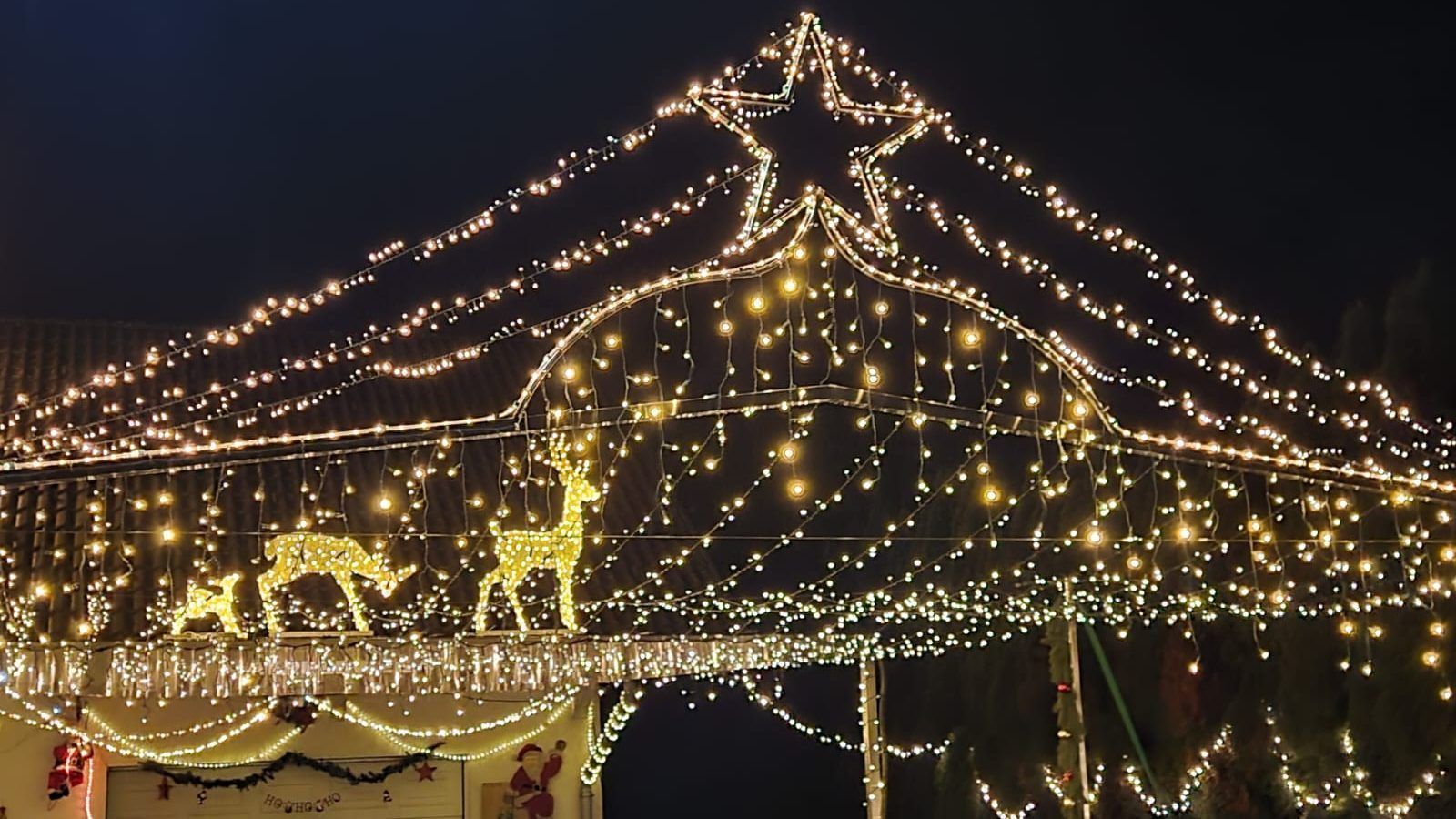 Älpeleweg 4, 6971 Hard - Bettina P. Lambertz (2).jpg