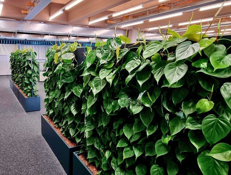 Blum Raumtrenner (1).jpg