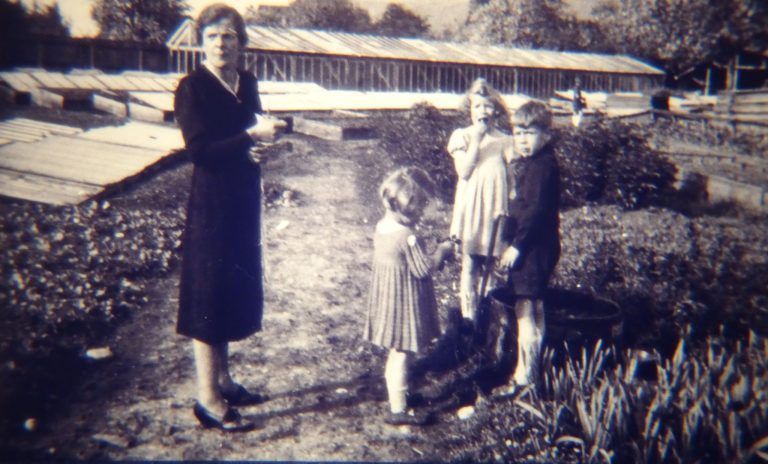 Hotz Gewächshaus1.JPG